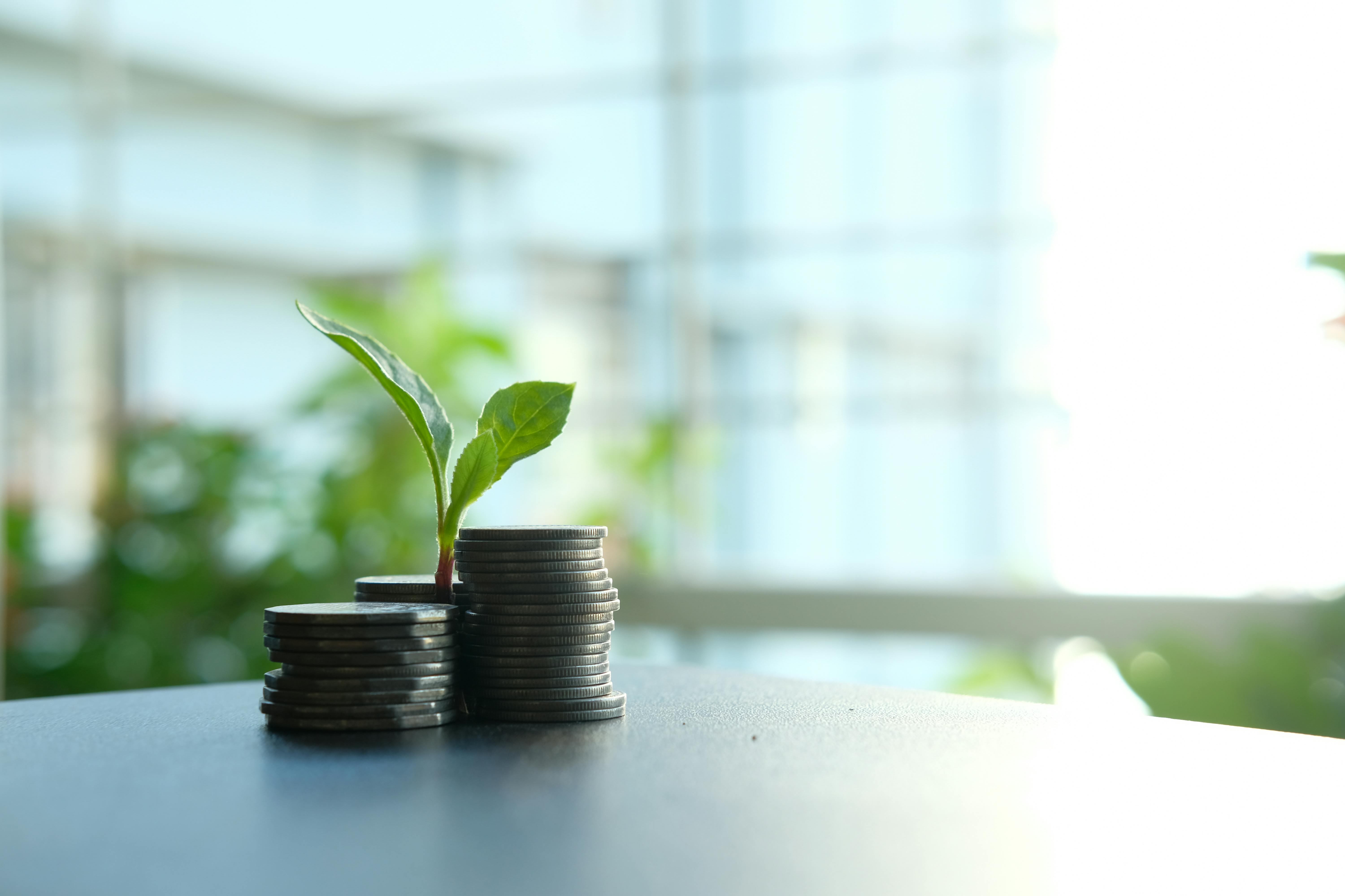 Interest Rate Subsidies for Entrepreneurial Loans 2026